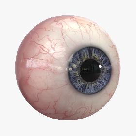 Realistic Human Eye
